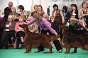 Crufts2011 732